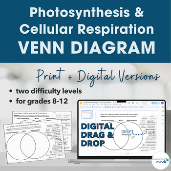 Photosynthesis Vs Cellular Respiration Venn Diagram