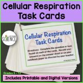 Cellular Respiration Task Cards