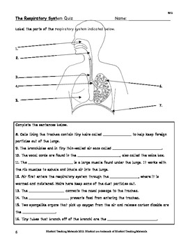 Respiration: The Respiratory System Facts,... by Bluebird Teaching