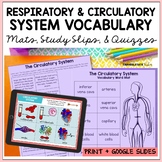 Respiratory Circulatory Systems Vocabulary Activities Prin