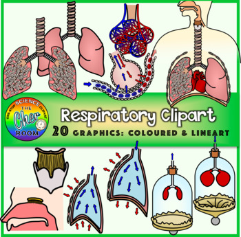 Preview of Respiratory Clipart