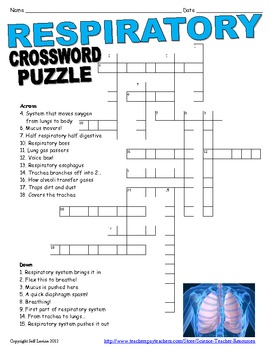 Respiratory Crossword Puzzle by Science Teacher Resources | TpT