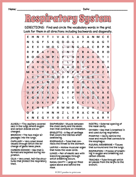 Human Respiratory System Word Search Worksheet by Puzzles to Print