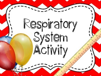 Preview of Respiratory System Investigation, Respiratory System Lab