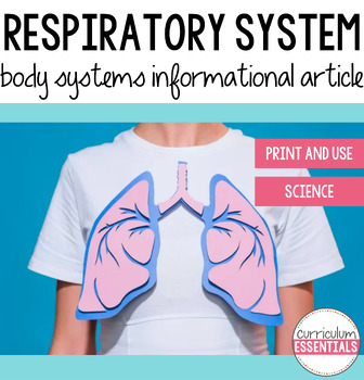 Respiratory System Informational Article by Fun in Fourth | TpT