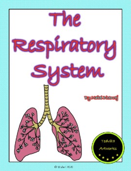Preview of Respiratory System Activities