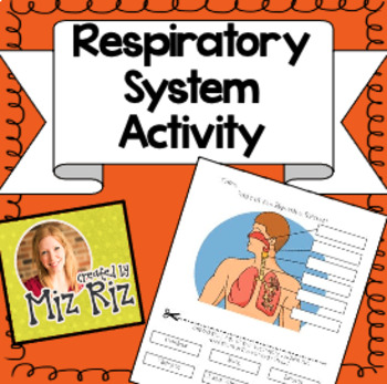 Preview of Respiratory System Activity (Cut and Paste!)