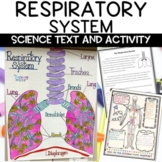 Respiratory System Activity