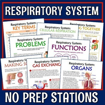 Preview of Respiratory System Activity Stations NGSS MS-LS1-3 PRINT and DIGITAL