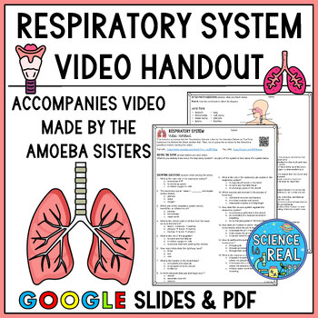 Preview of Respiratory System Amoeba Sisters Video Handout