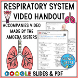 Respiratory System Amoeba Sisters Video Handout