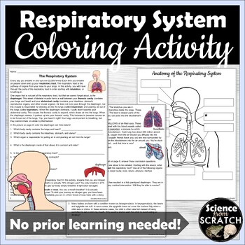 respiratory system coloring page