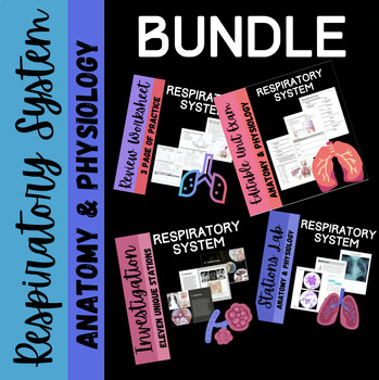 Preview of Respiratory System Anatomy Bundle