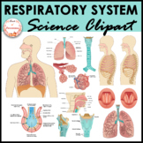 Respiratory System Anatomy Clipart | Human Body Organ Systems