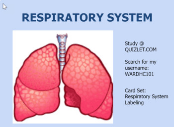 Preview of Respiratory System Anatomy & Diseases Slide presentation, study guide, and test