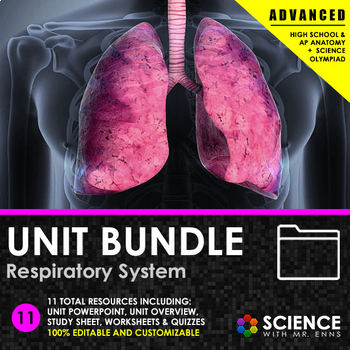 Preview of Respiratory System Anatomy Unit - Organs, Breathing, Gas Exchange, Spirometry