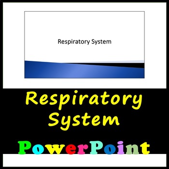 Preview of Respiratory System Bundle!