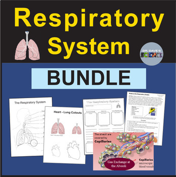 Preview of Respiratory System Activities Bundle Lung Anatomy, Task Cards Worksheets