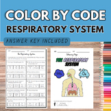 Respiratory System COLOR BY CODE