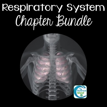 Preview of Respiratory System Chapter Bundle for Anatomy and Physiology