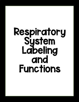 Preview of Respiratory System Diagram and Labeling