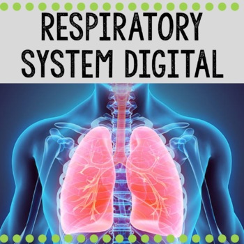 Preview of Respiratory System Digital / Human Body