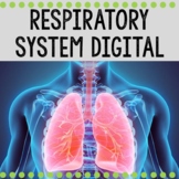 Respiratory System Digital / Human Body