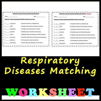 Preview of Respiratory System Diseases - Matching Worksheet with Answers