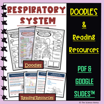 Preview of Respiratory System Doodle | Science Doodles | Graphic Organizer, Passages