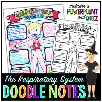 Preview of The Respiratory System Doodle Notes | Science Doodle Notes
