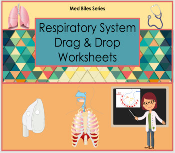 Preview of Respiratory System - Drag & Drop Worksheets (Med Bites Series)