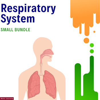 Preview of Respiratory System Essentials Bundle: Explore Breathing with Confidence