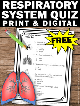 FREE Respiratory System Activity, Human Body Systems 5th Grade Science