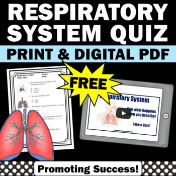 Preview of FREE Respiratory System Activity 5th Grade Science Vocabulary Human Body Activit