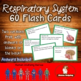 Respiratory System Flash Cards