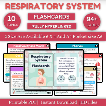 Preview of Respiratory System Flashcards | Med Surg Nursing Study | Study Notes | Nurse