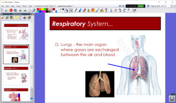Preview of Respiratory System - Flipchart Presentation