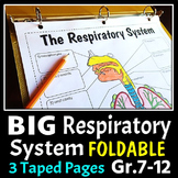 Respiratory System Foldable - Big Foldable for Interactive