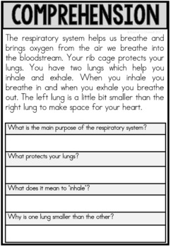 respiratory system human body systems by rachel o donnell tpt