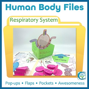 Preview of Respiratory System Activity - Human Body Files for Anatomy and Physiology