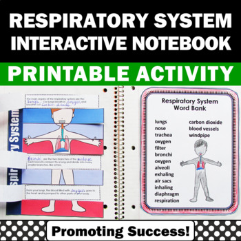 Preview of Respiratory System 5th Grade Science Interactive Notebook Biology Curriculum