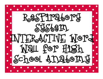 Preview of Respiratory System INTERACTIVE Word Wall for High School Anatomy