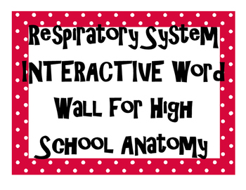 Preview of Respiratory System INTERACTIVE Word Wall for High School Anatomy
