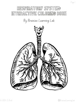 Preview of Respiratory System Interactive Coloring Book