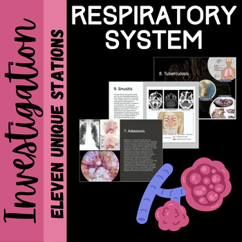Preview of Respiratory System Investigation