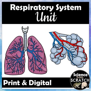 Preview of Respiratory System Unit for Anatomy