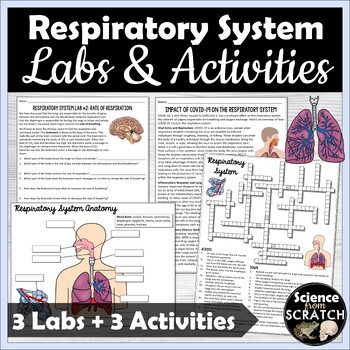 Preview of Respiratory System Labs and Activities | High School Anatomy