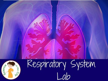 Respiratory System Lab and Notes