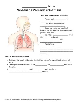 lab assignment respiratory system