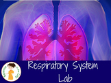 Respiratory System Lab Activity